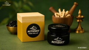 Shilajit and Ayurveda