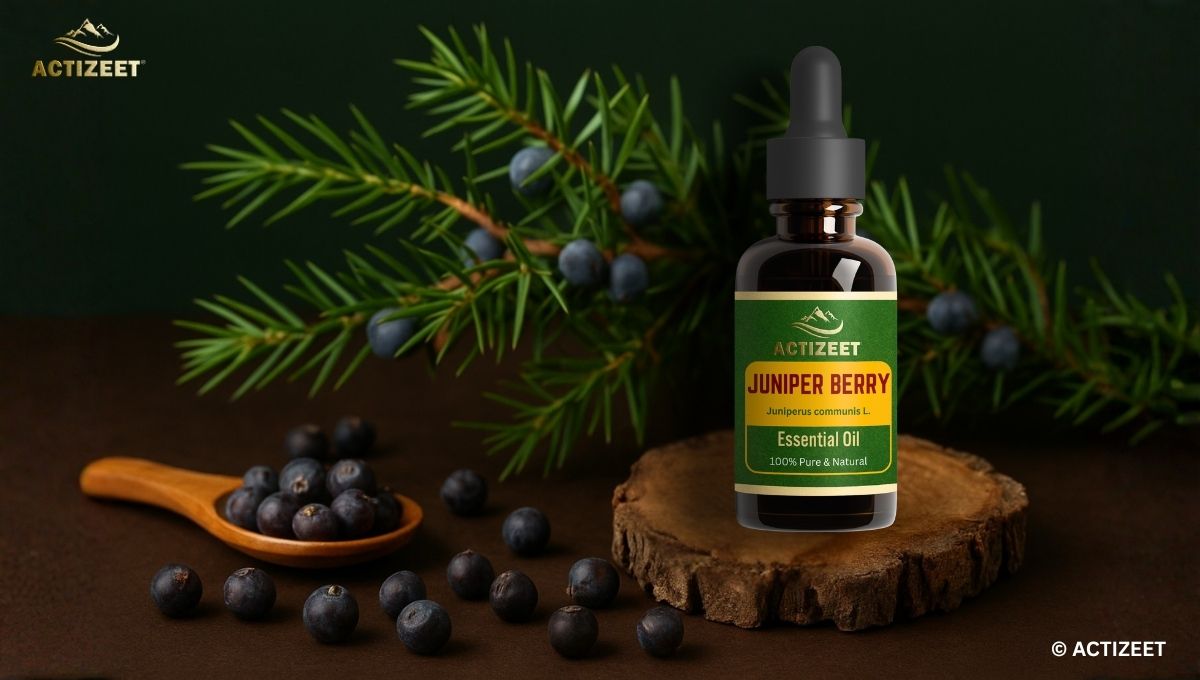 Juniper Berry Essential Oil Benefits
