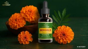 Marigold Essential Oil Benefits