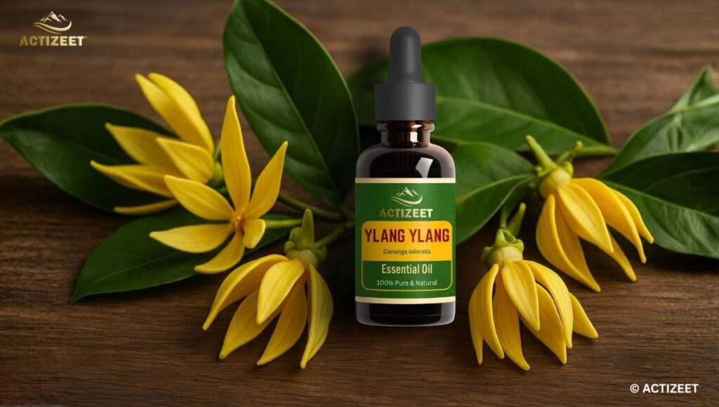 ACTIZEET Ylang Ylang Essential Oil Benefits