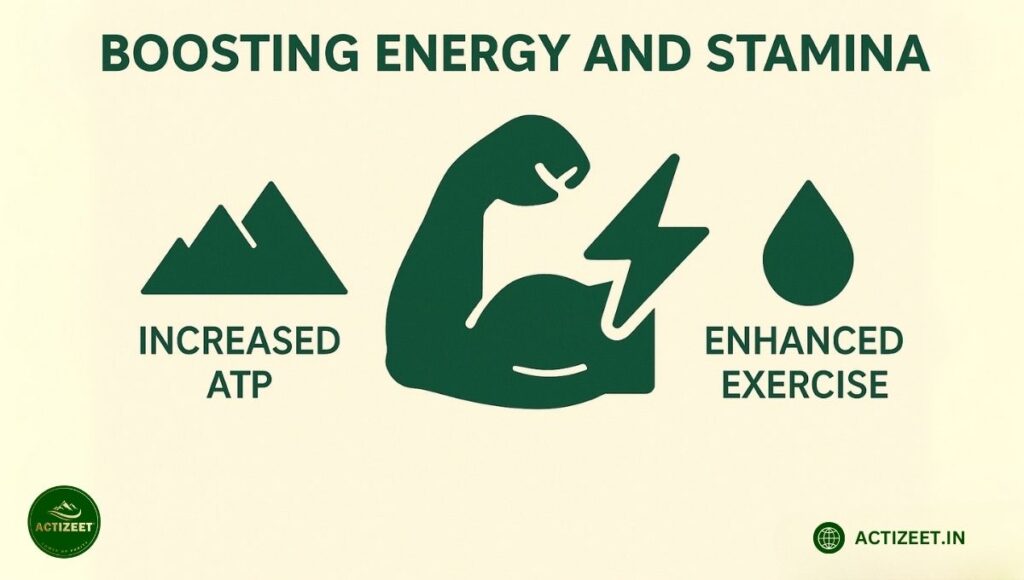 Boosting Energy and Stamina -Shilajit for Fatigue and Physical Performance