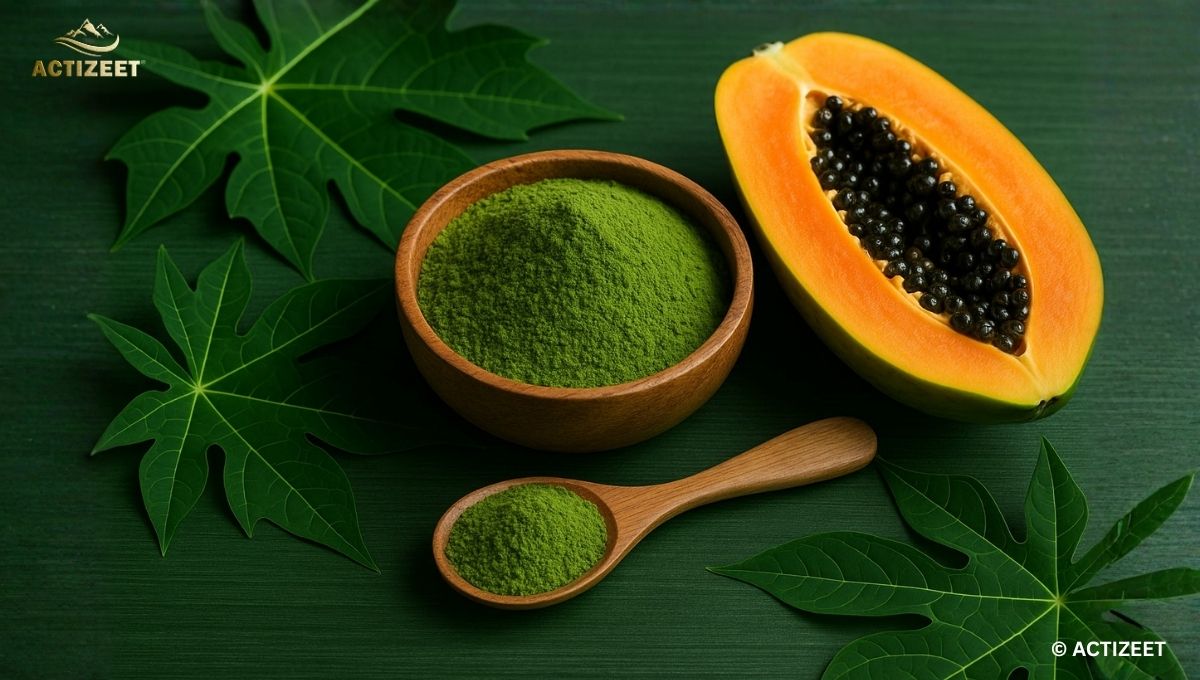 Papaya Leaf Powder Benefits-ACTIZEET