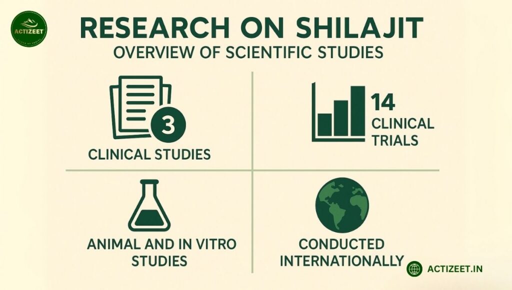 Research on Shilajit-0verview of Scientific Studies