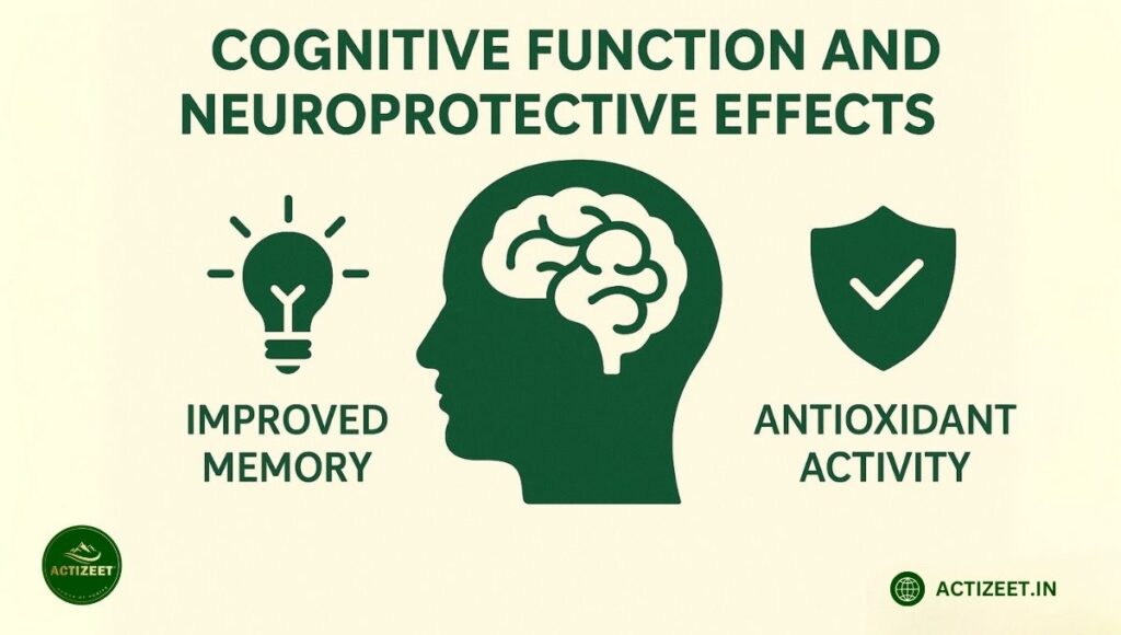 Shilajit-Cognitive Function and Neuroprotective Effects