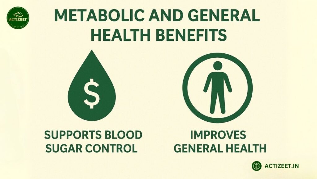 Shilajit-Metabolic and General health benefits
