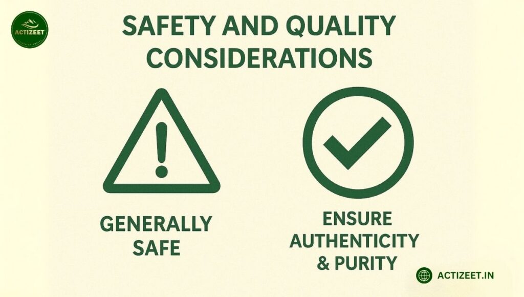 Shilajit-Safety and Quality Considerations