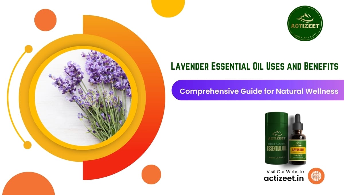 Lavender Essential Oil Uses and Benefits