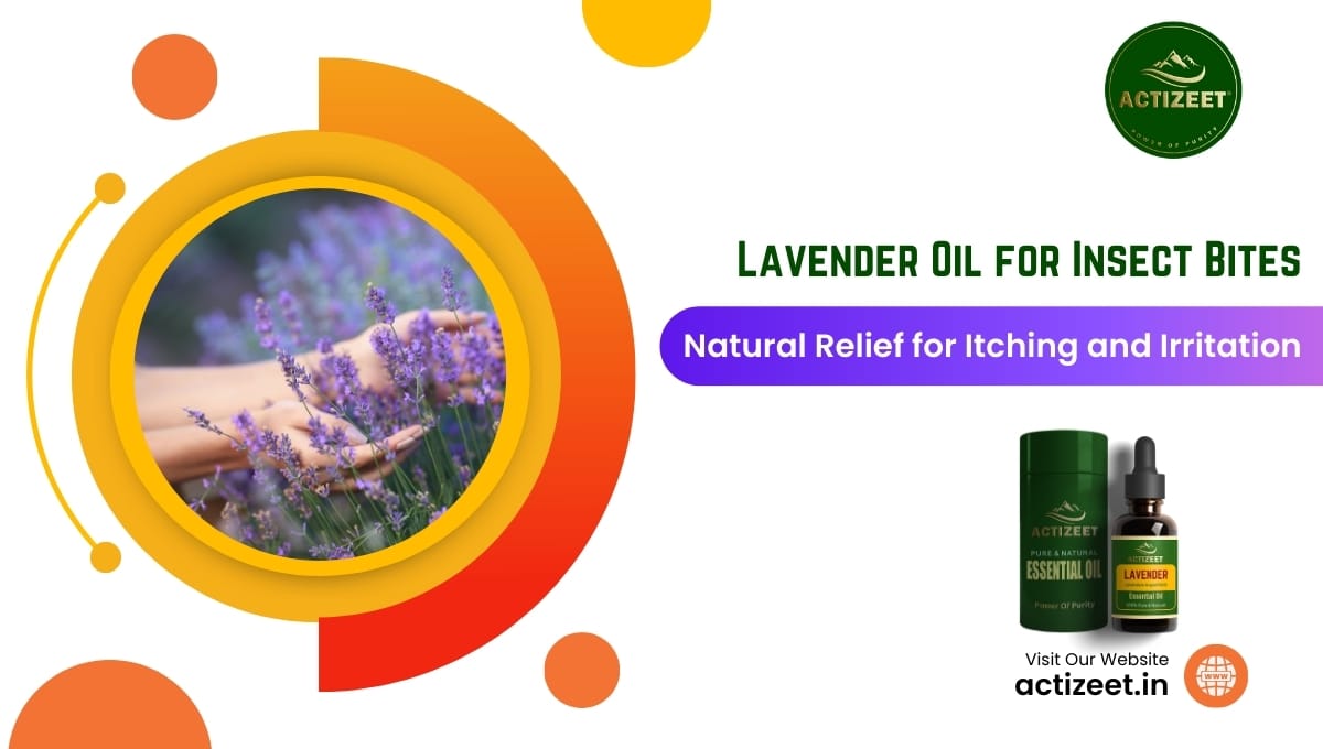 Lavender Oil for Insect Bites