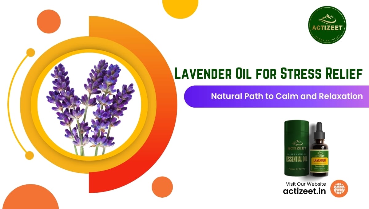 Lavender Oil for Stress Relief