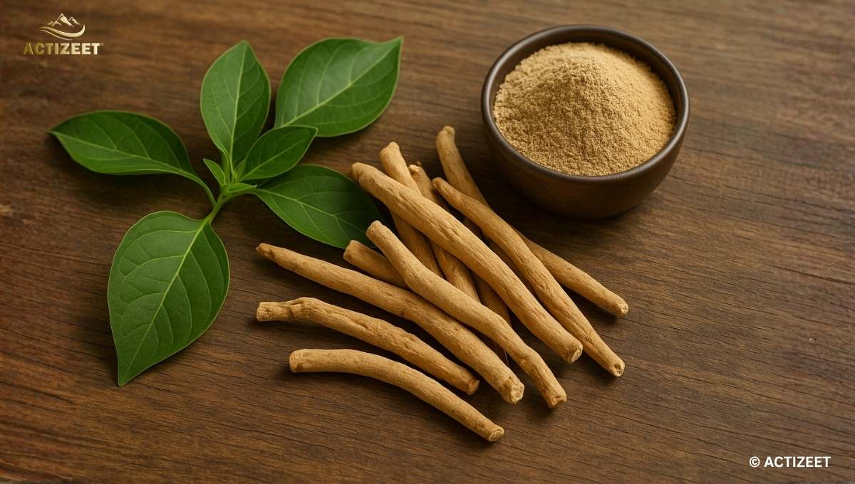 ACTIZEET Ashwagandha Benefits