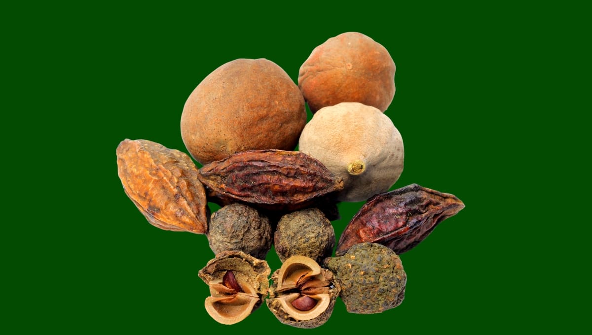 What are the benefits of Triphala powder