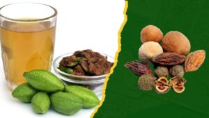 What is the shelf life of Triphala powder