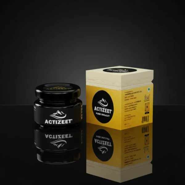 ACTIZEET Shilajit Resin Natural Energy Booster