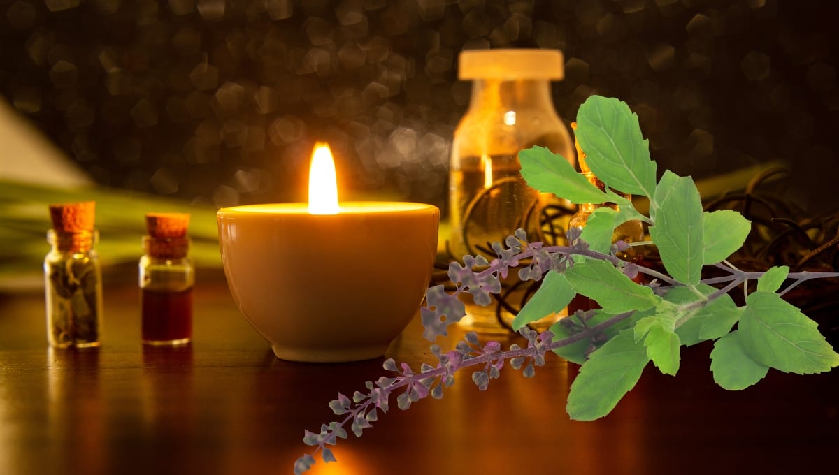Aromatherapy Benefits of Basil Oil