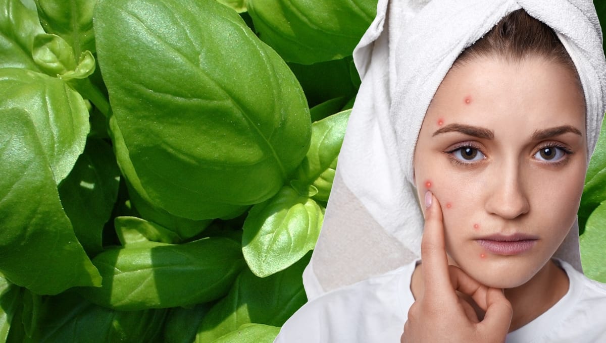 Basil Oil for Acne-Prone Skin