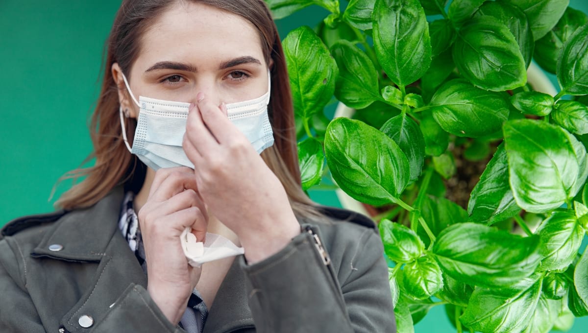 Basil Oil for Respiratory Health Support