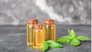 Basil oil as a natural insect repellent