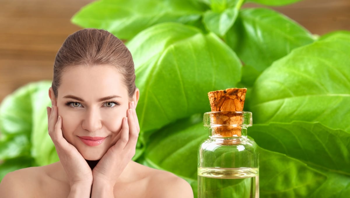 Benefits of Basil Oil for Skin Care
