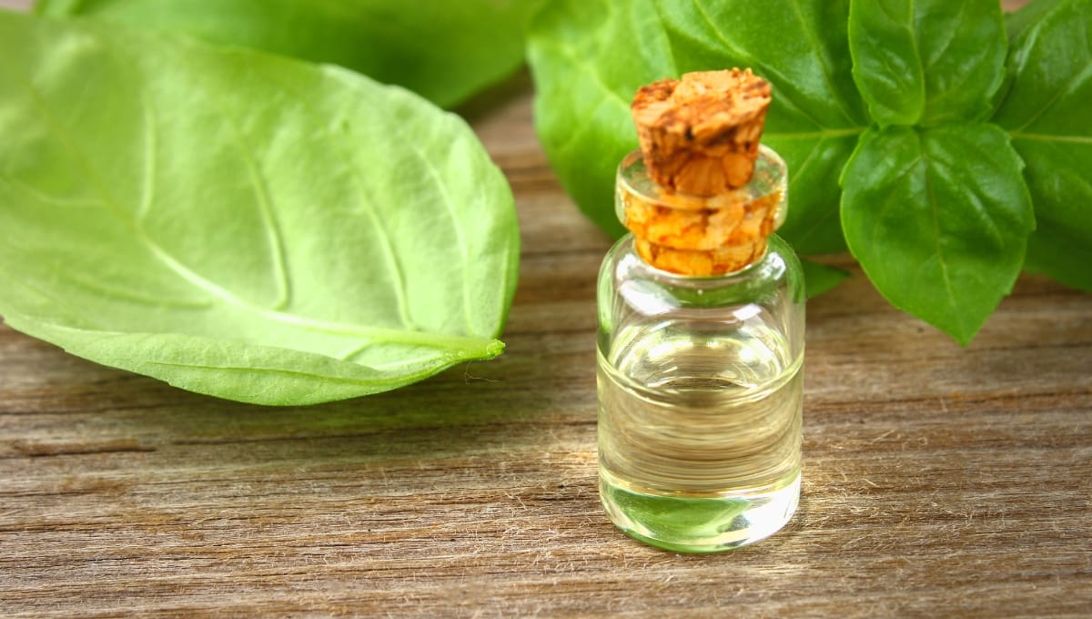 Best Carrier Oils to Mix with Basil Essential Oil