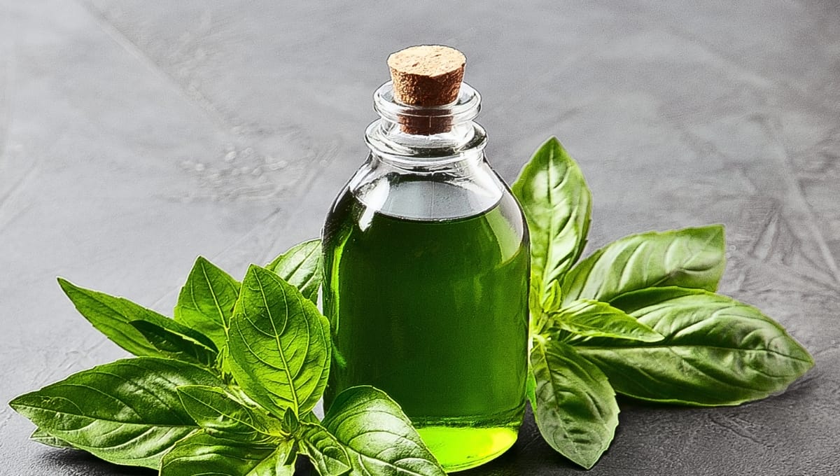 DIY Recipes with Basil Essential Oil
