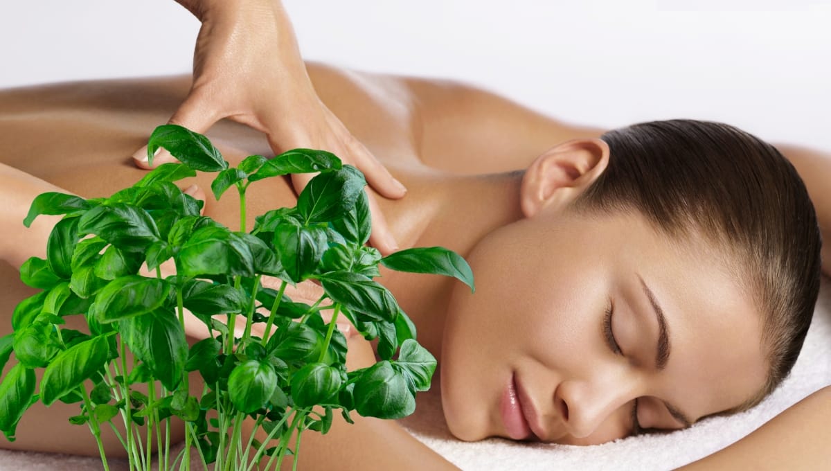 Homemade Basil Oil Massage Blends