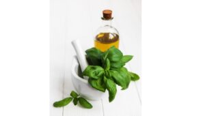 How to Dilute Basil Oil for Topical Application