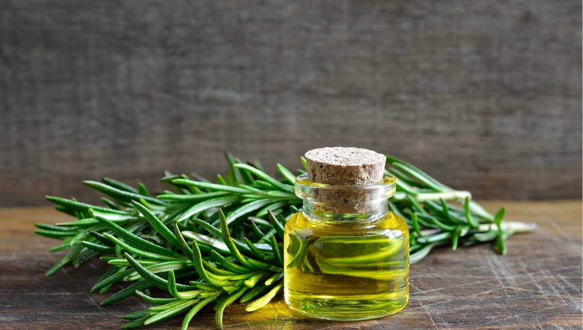 Can rosemary oil help with psoriasis