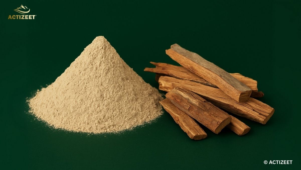 Best Arjuna Powder in India