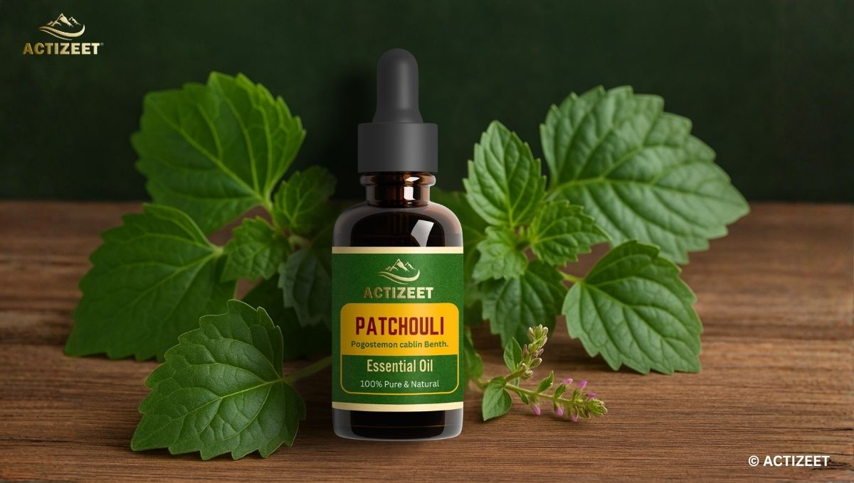 Best Patchouli Oil in India