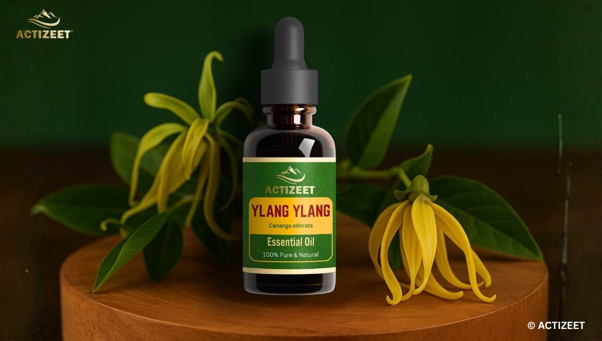 Best Ylang Ylang Oil in India