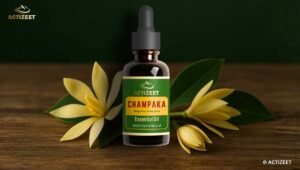 Best Champaka Oil in India