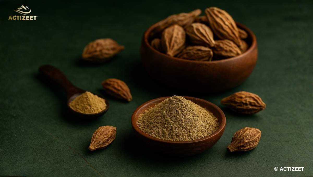 Best Haritaki Powder in India