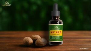 Best Nutmeg Oil in India