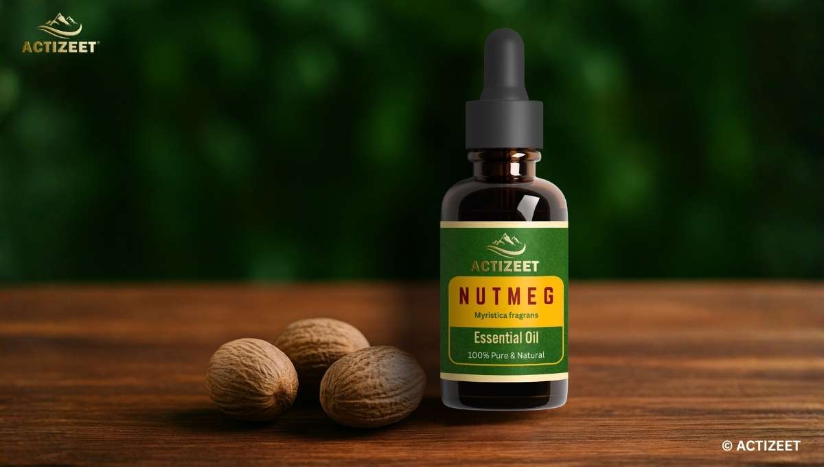 Best Nutmeg Oil in India
